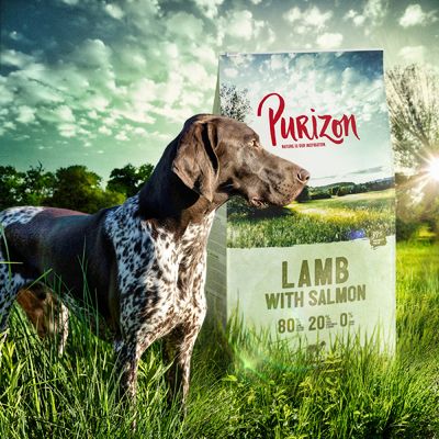 Purizon Agnello con Salmone Adulti – Senza Cereali