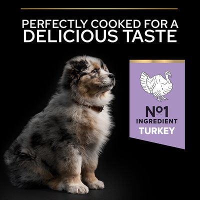 PURINA PRO PLAN Γαλοπούλα χωρίς σιτηρά για όλα τα μεγέθη για κουτάβια με ευαίσθητη πέψη