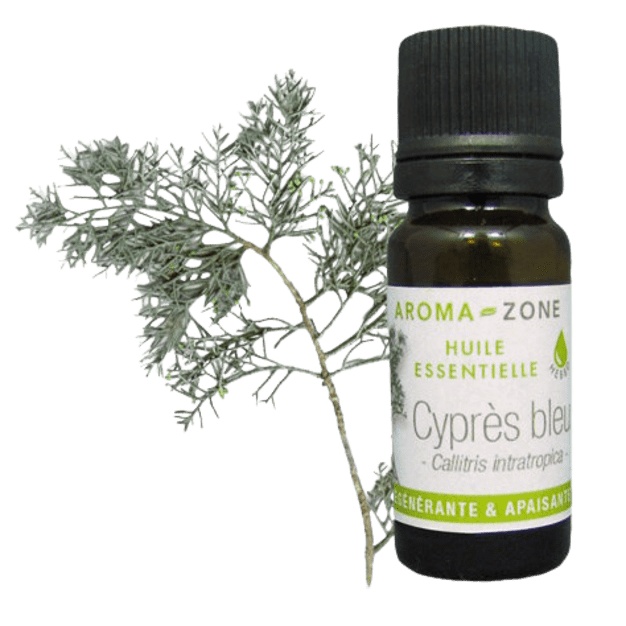 Olio essenziale di cipresso blu
