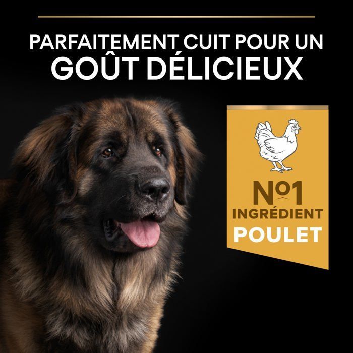 PRO PLAN Große, ausgewachsene Hunde – Robuste Tagesnahrung mit reichhaltigem Hühnchenanteil – 14 kg – Trockenfutter für ausgewachsene Hunde großer Rassen