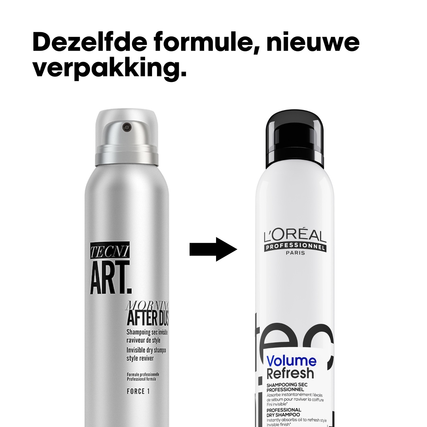 L'Oréal Professionnel suhi šampon TecniArt - 200 ml