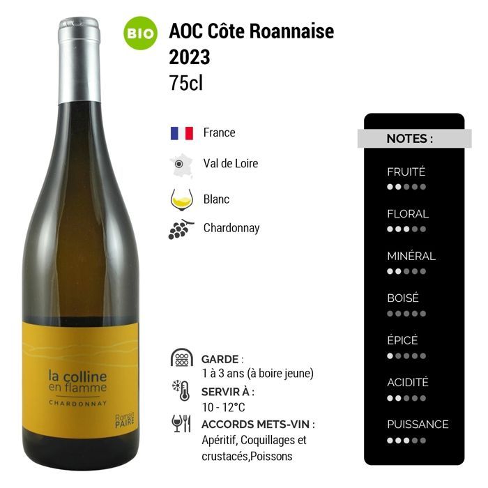 Domaine des Pothiers Côte Roannaise Colline en Flamme 2023 - Vin Blanc du Val de Loire (6x75cl) BIO