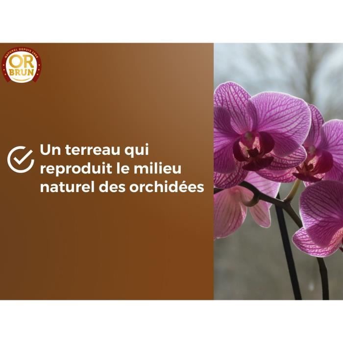 Substrato para orquídeas - OR BRUN - OBRTORC6U - 6L - Promove o crescimento