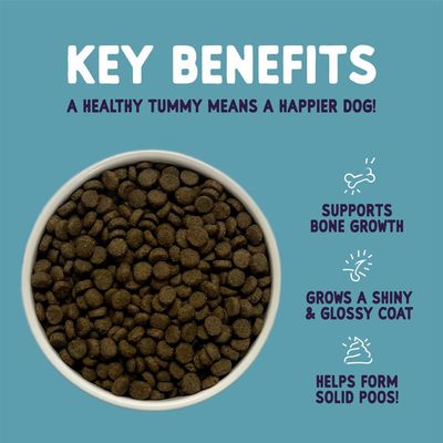 Burgess Sensitive Hvalp