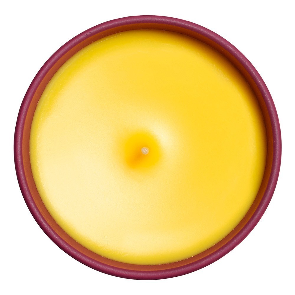 Sisley Ruža svijeća - 165 g