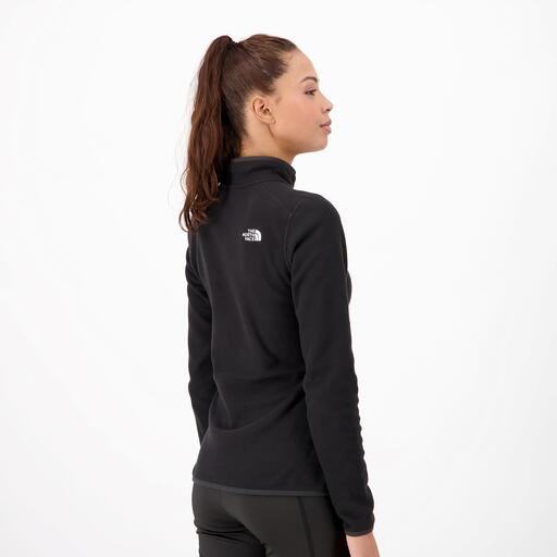 Ledovec North Face
