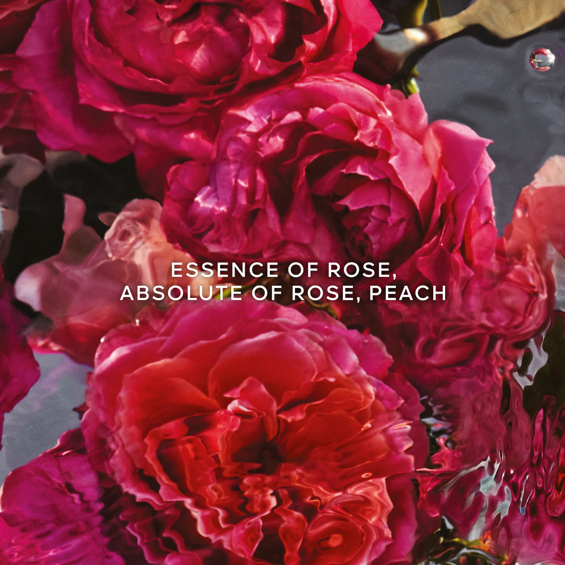 Aqua Allegoria Rosa Rossa Forte EdP 75 ml - GUERLAIN