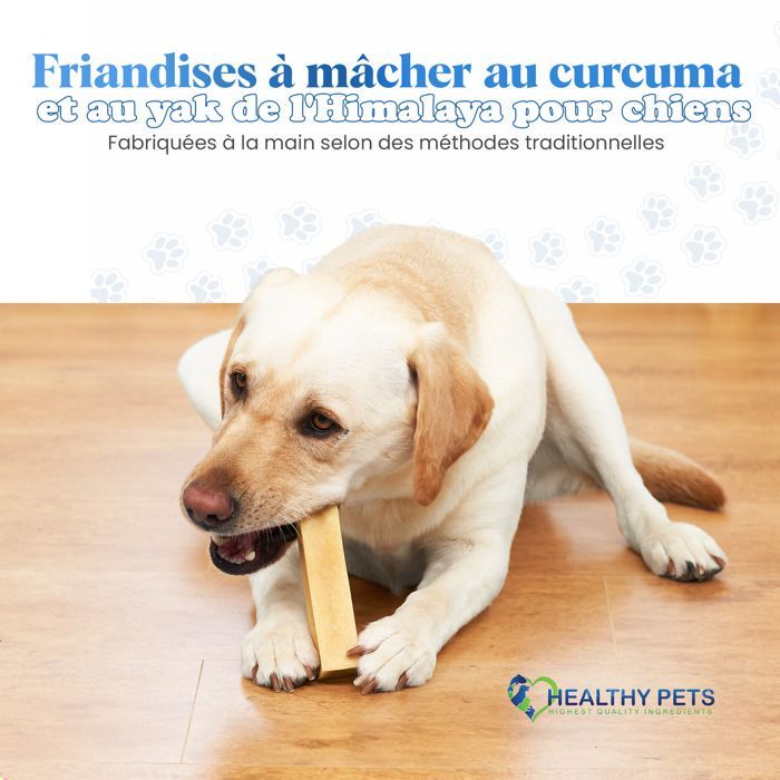 Barre De Curcuma Healthy Pets Pour Chiens - Contre Le Tartre Et L'hygiène Dentaire - IDéale Pour Les Chiots Et Les Chiens Adultes