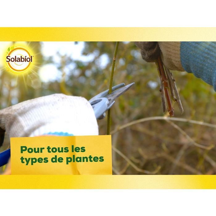 SOLABIOL Osiryl Esquejes - 40 ml - Rinde hasta 20 l de solución - Estimulador de raíces - Apto para su uso en esquejes y plantas trasplantadas