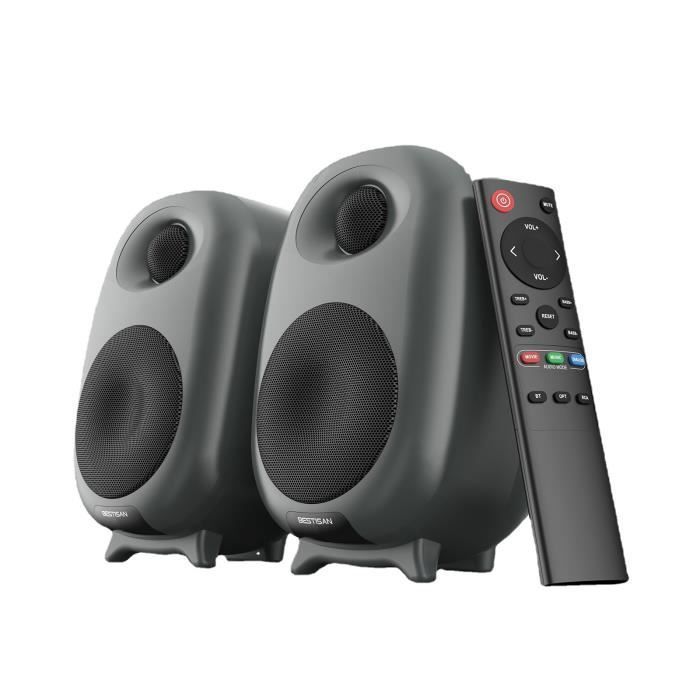 Enceinte PC 2x50W HiFi Haut-parleurs Actifs Bluetooth 5.0 Basse Paire d'enceintes pour TV/PC/Téléphone/Pad avec Télécommande Noir