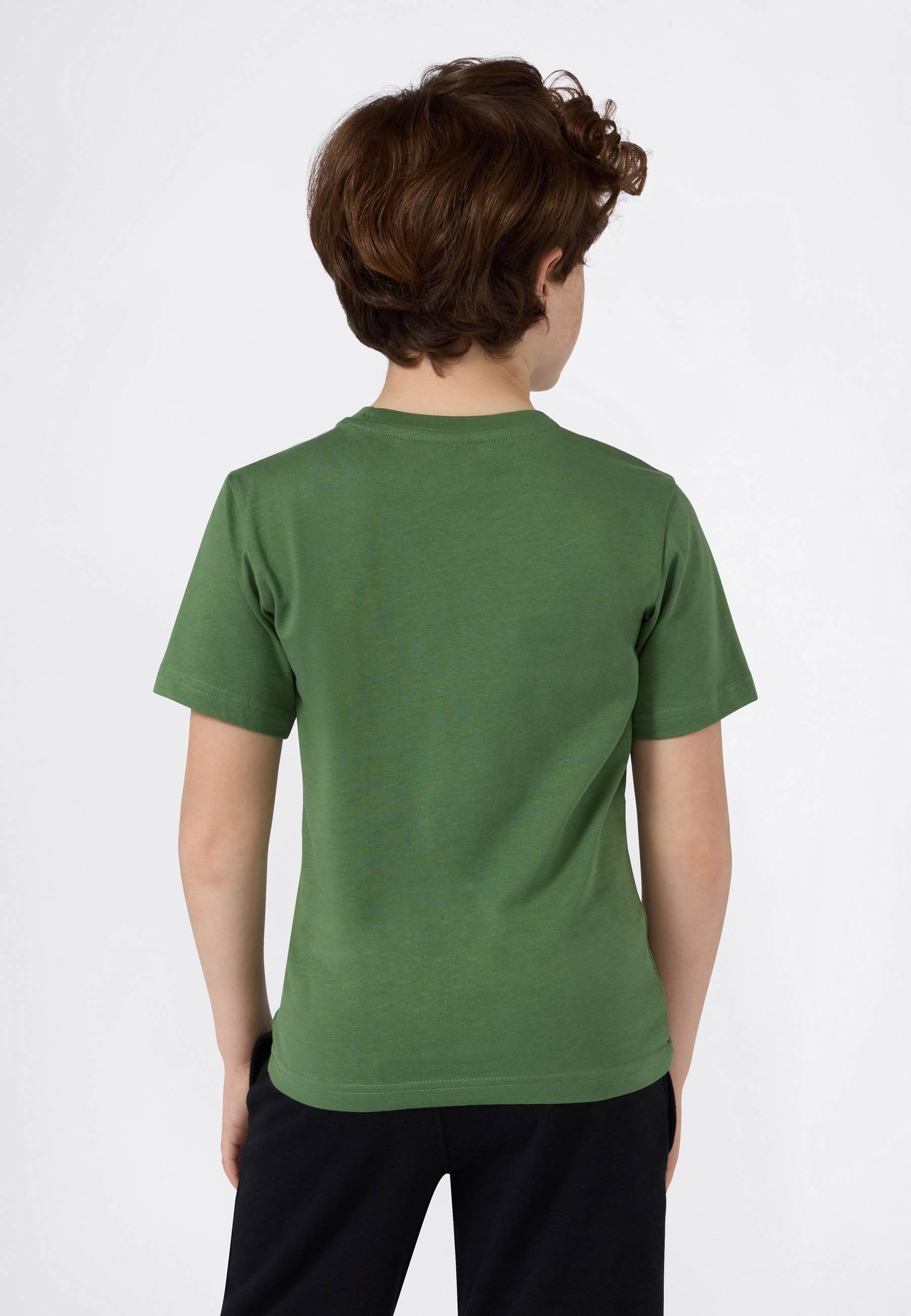 Champion ICONS CONTRAST CREWNECK UNISEX - T-shirt met print - groen