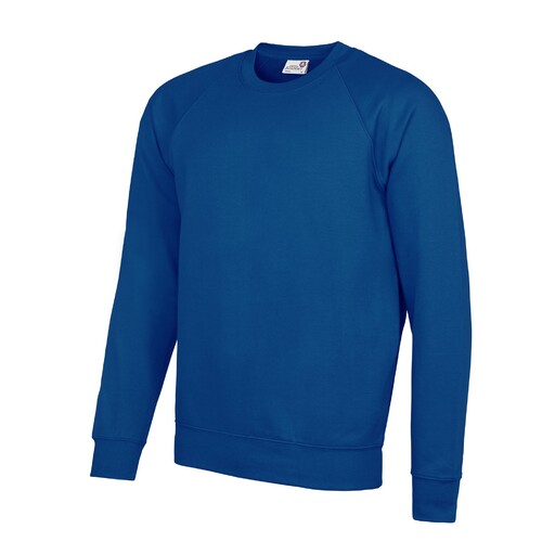  Sudadera Con Mangas Raglan Awdis Akadémia