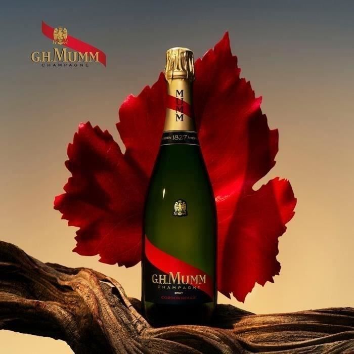Mumm Cordon Rouge - Champagne 75 cl x 6