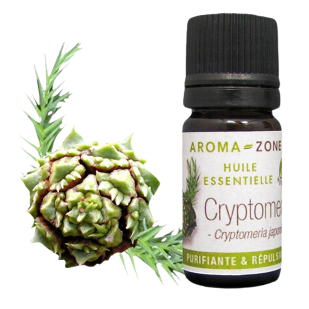 Huile essentielle Cryptomeria