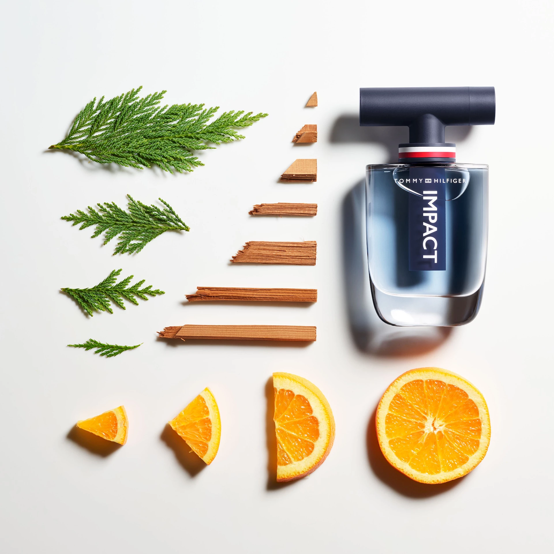 Impact toaletna voda 100 ml - Tommy Hilfiger
