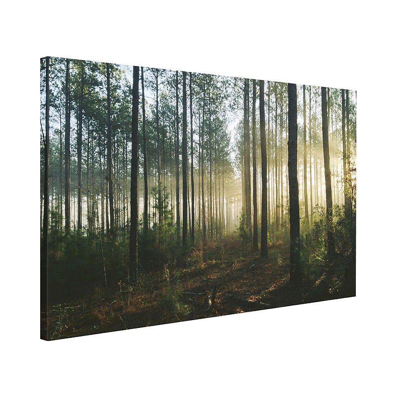 Tableau sur toile 40x60 cm