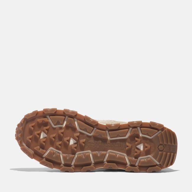 Sneaker Winsor Park da Uomo in beige