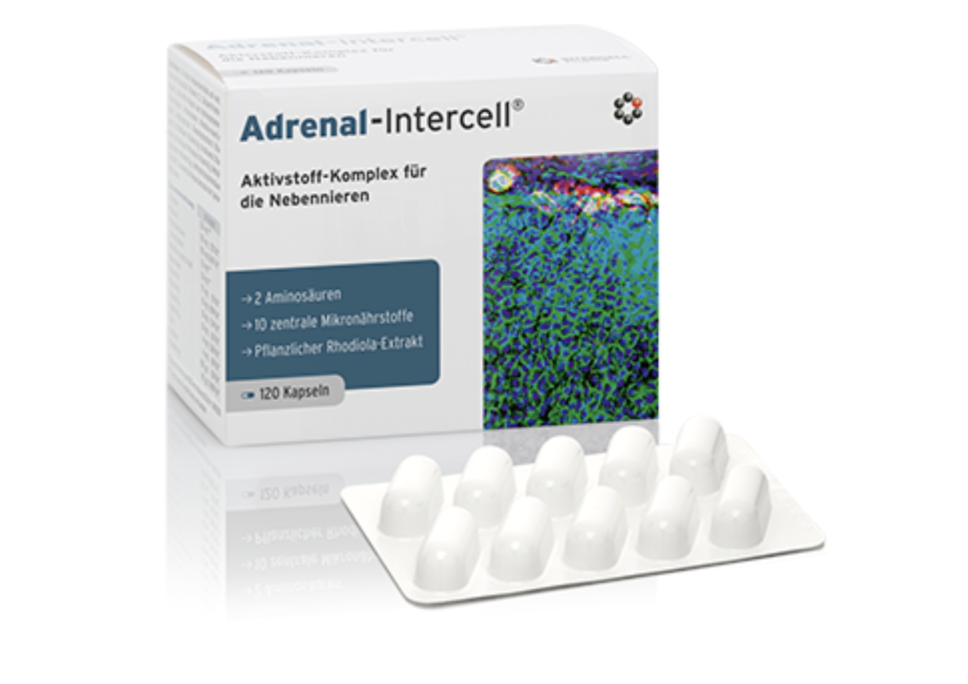 Mito-Pharma Adrenal-Intercell