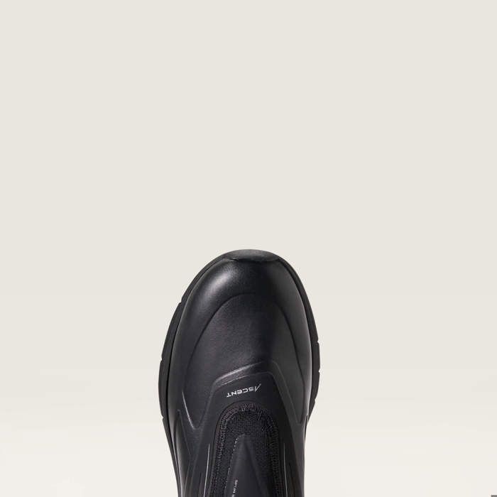 Bottes d'équitation Ariat Ascent Tall