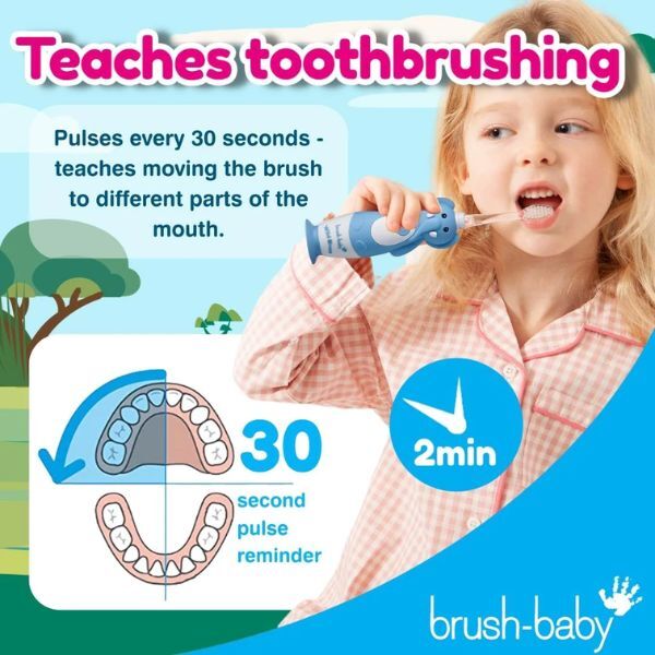 Spazzolino elettrico ricaricabile Brush Baby WildOnes™ Elephant per bambini