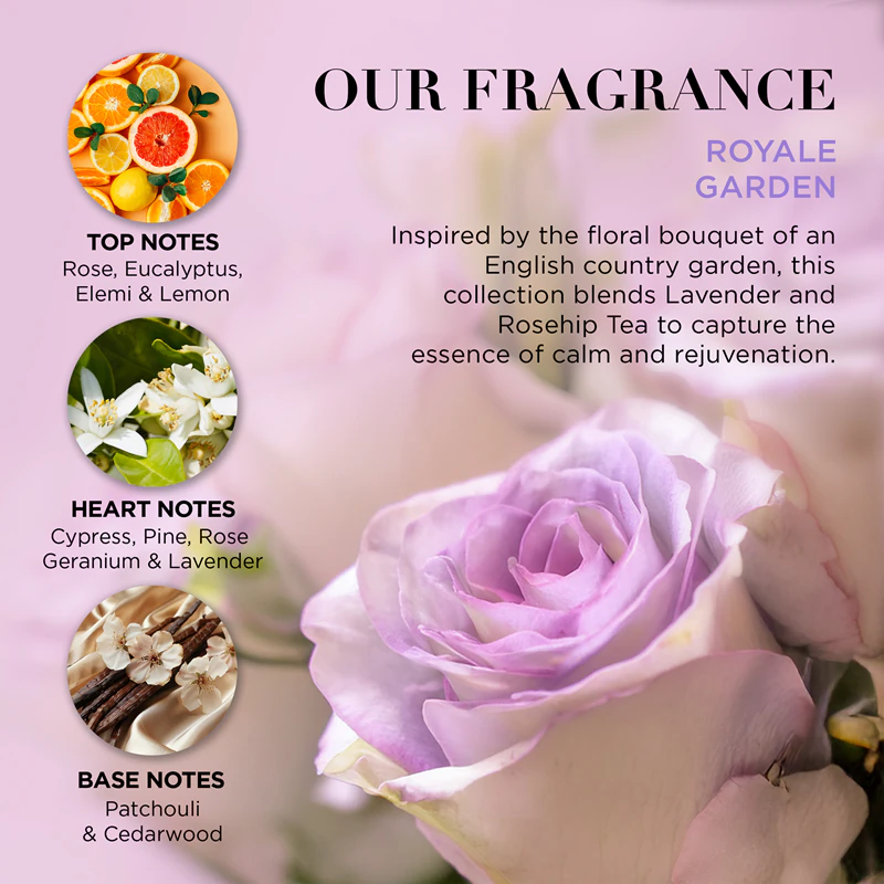 Conjunto de chá de lavanda e rosa mosqueta Baylis & Harding Royale Garden