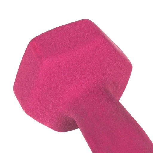  Neoprenbeschichtete Hanteln (2er-Set) 4 kg Gladiatorfit