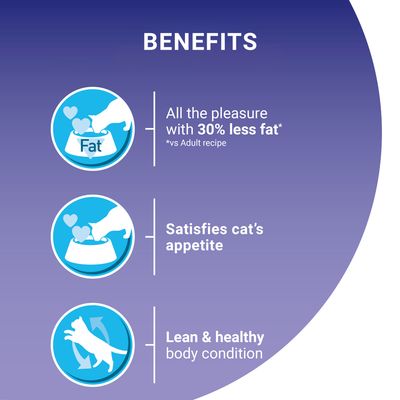 PURINA ONE Light -kana-vehnäkuiva kissanruoka