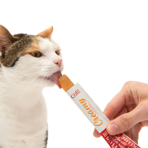 Katzensnack Creamy Huhn, 50 Stück