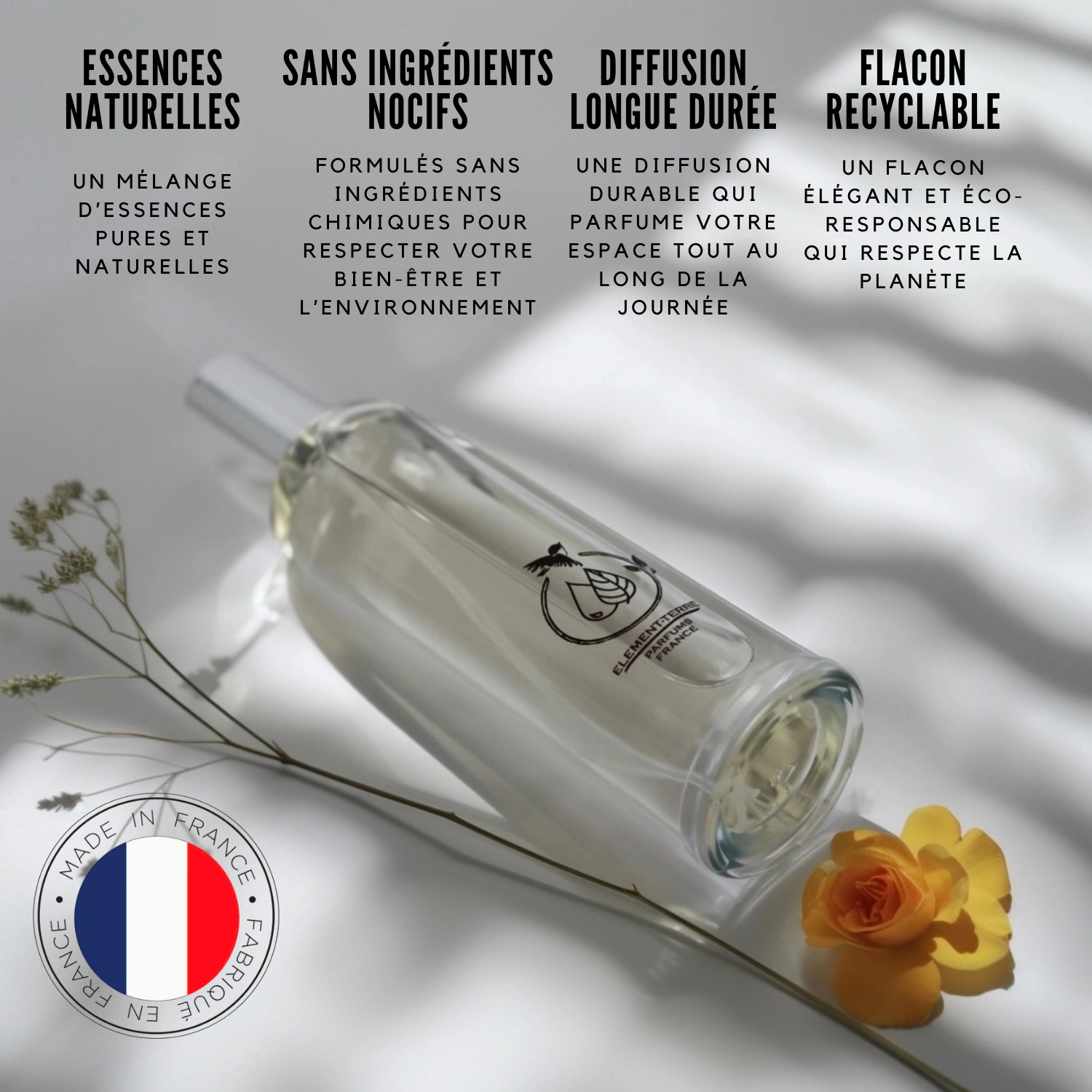 Element Terre Passion des îles
