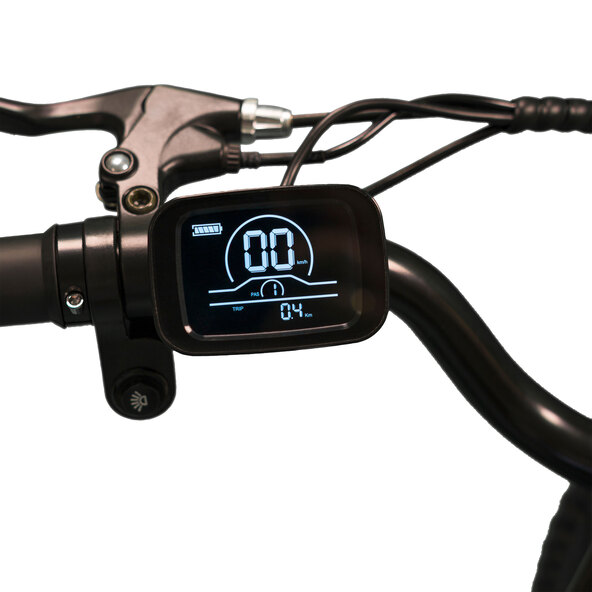 Bicicletă electrică de oraș ECR 3005