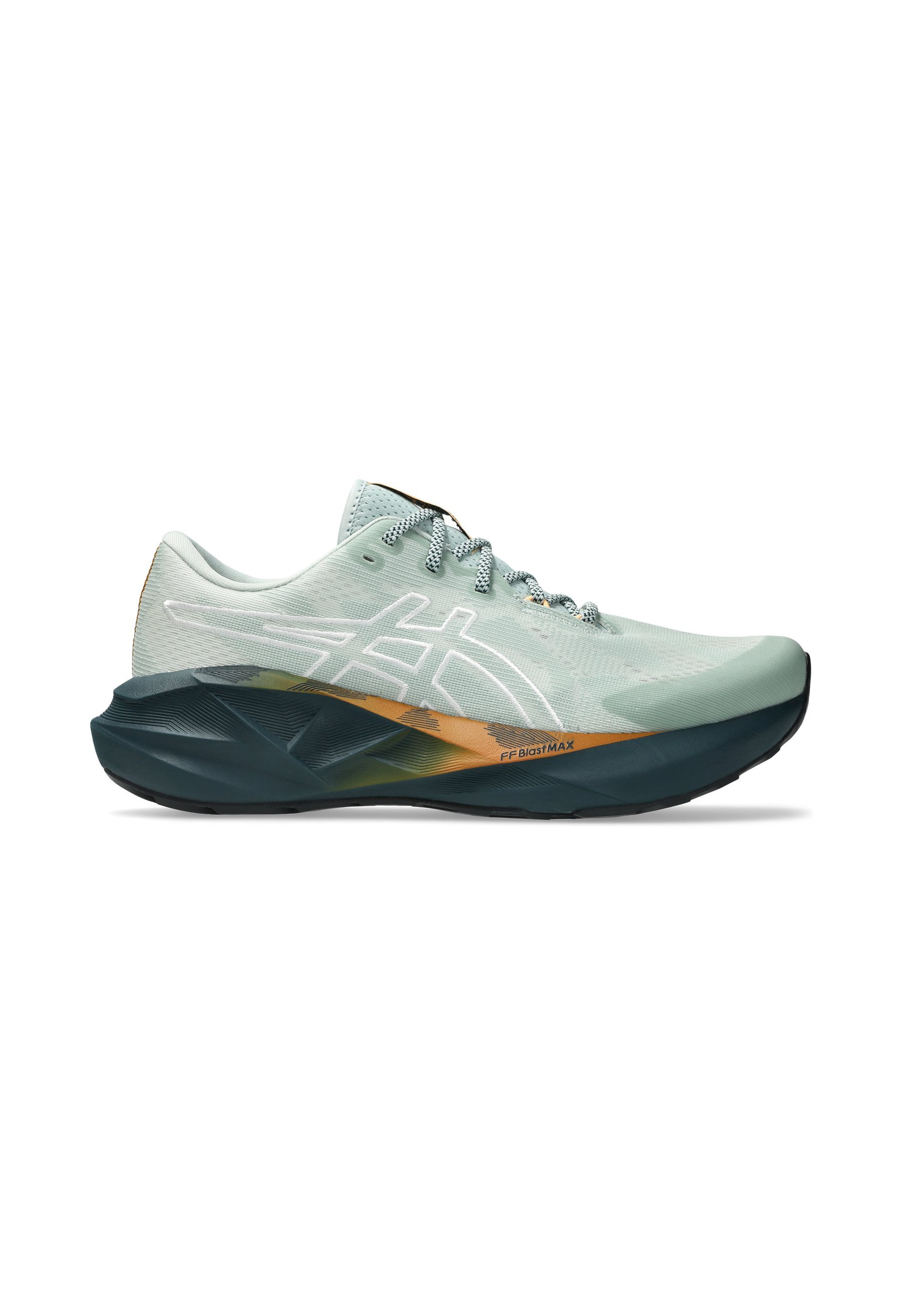 ASICS NOVABLAST 5 TR - Trailrunning schoenen - natuurbaden, korstmos en rots
