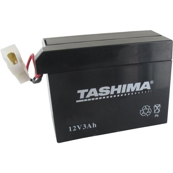 Batería Tashima FBT19 de 12 V y 3 Ah para maquinaria de jardinería