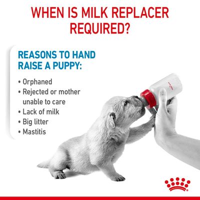 Royal Canin Babyhundmilch
