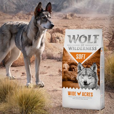 Wolf of Wilderness Soft 