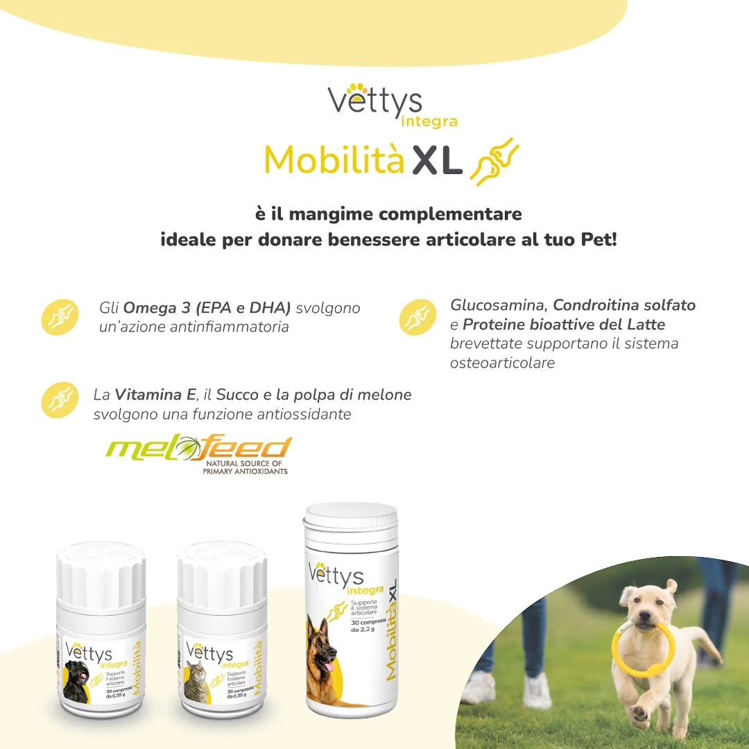 VETTYS Vettys Integra Mobility Dog 30 comprimidos