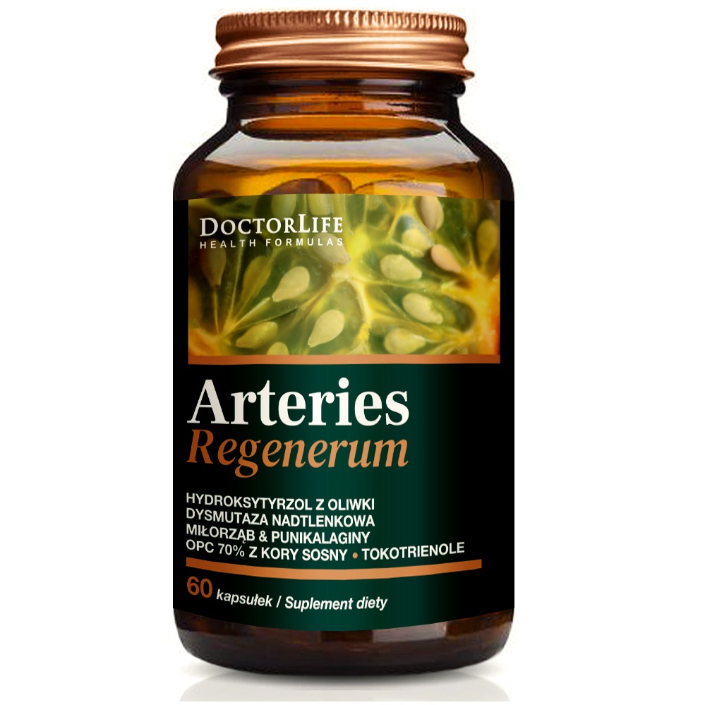 Doctor Life Arteries Regenerum & K2