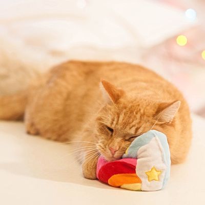 Aumüller Regenboog Hart Kattenspeeltje