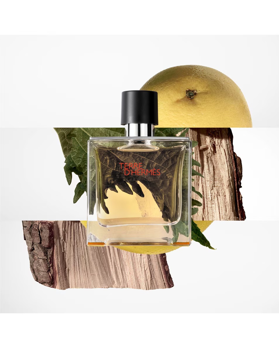 HERMÈS TERRE D'HERMÈS NAVULLING PARFUM