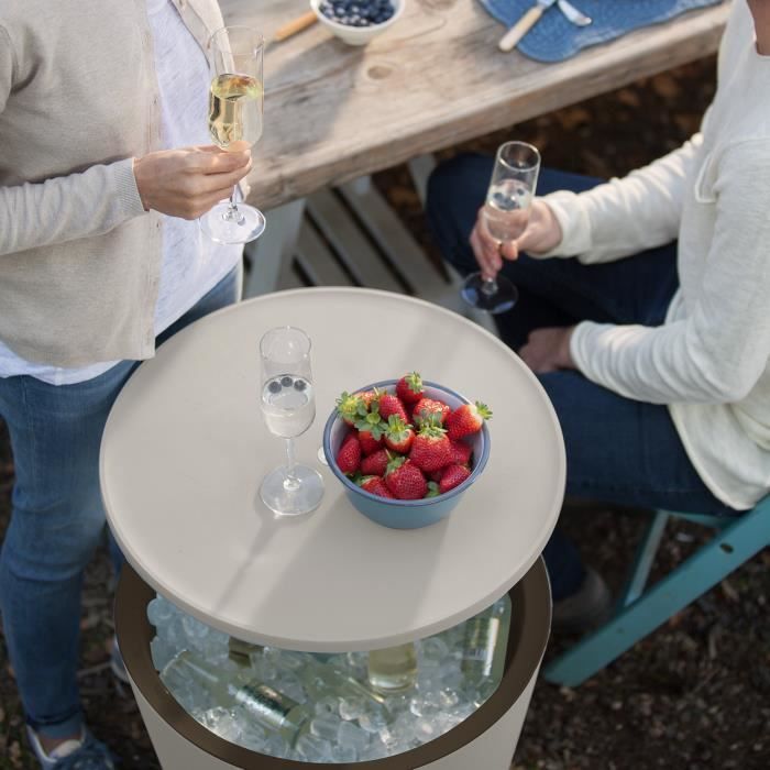Table de jardin bar 