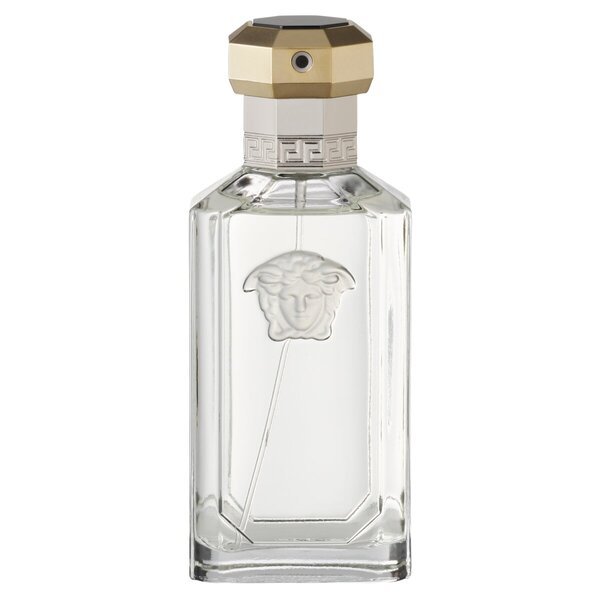 Versace The Dreamer for Him toaletna voda 100 ml