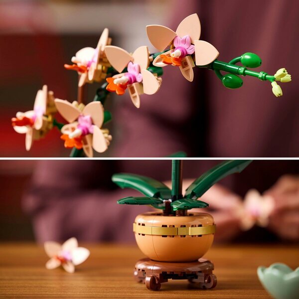 LEGO Botanicals 10343 Mini orhideja