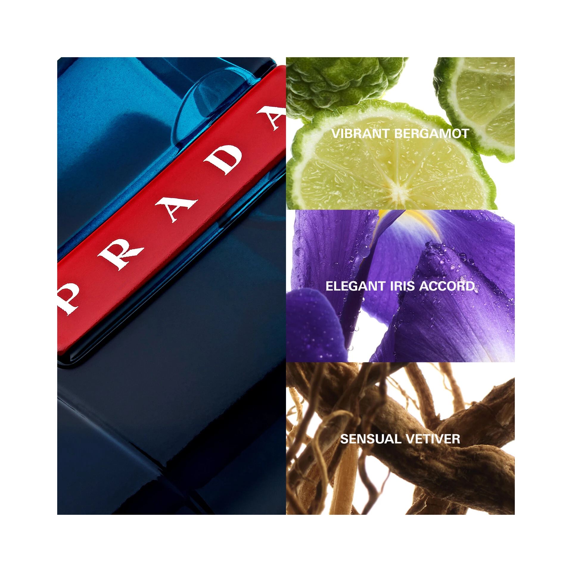 Άρωμα Luna Rossa Ocean EdT 50 ml - Prada