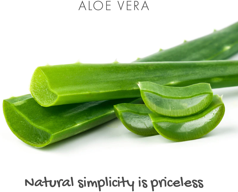 Prírodné mydlo Friendly Soap s aloe vera prírodnou príchuťou
