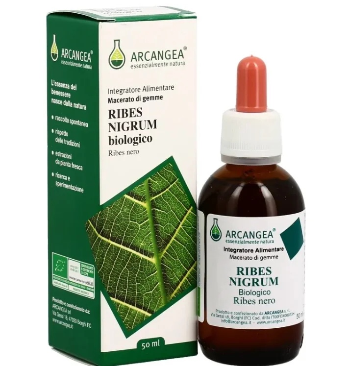 ARCANGEA Ribes Nigrum Gd 33 Bio 100 ml Urinewegaandoeningen