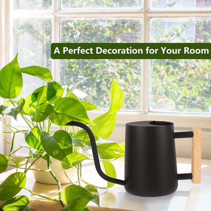 Arrosoir décoratif pour plantes d'intérieur, en acier inoxydable, avec long bec verseur, noir