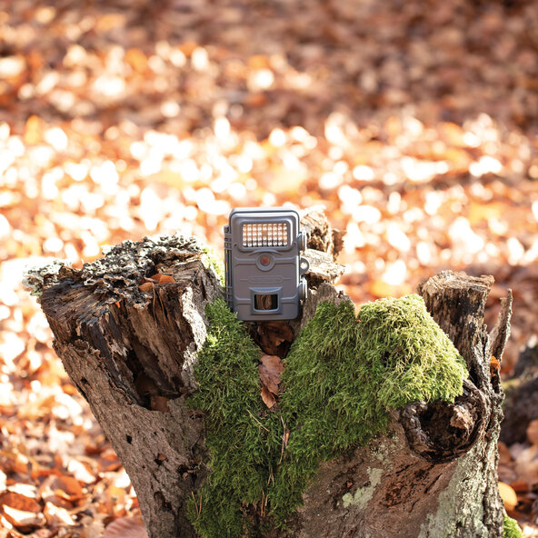 Wildlife monitoring camera WK-4HDW, grey