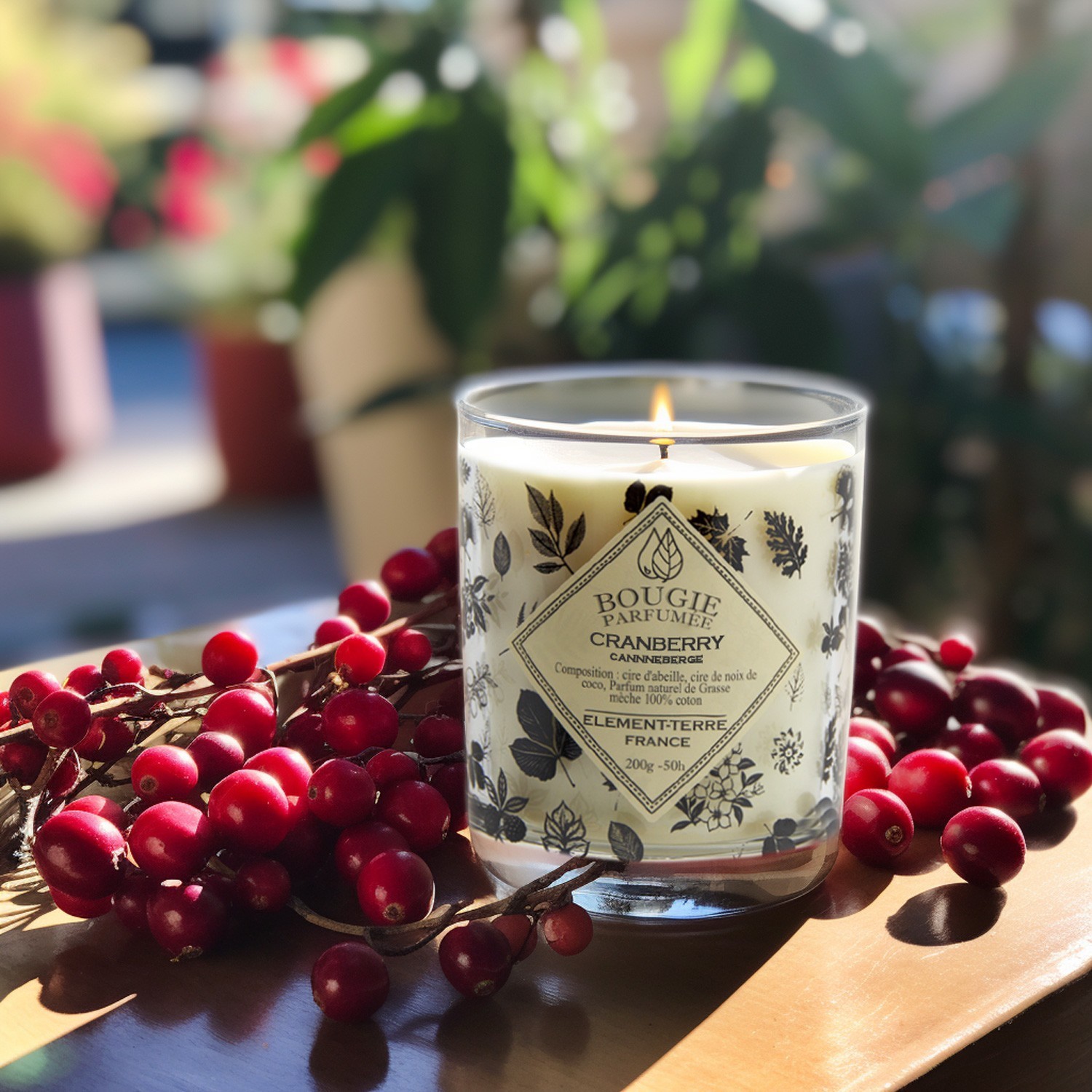 Element Terre Cranberry