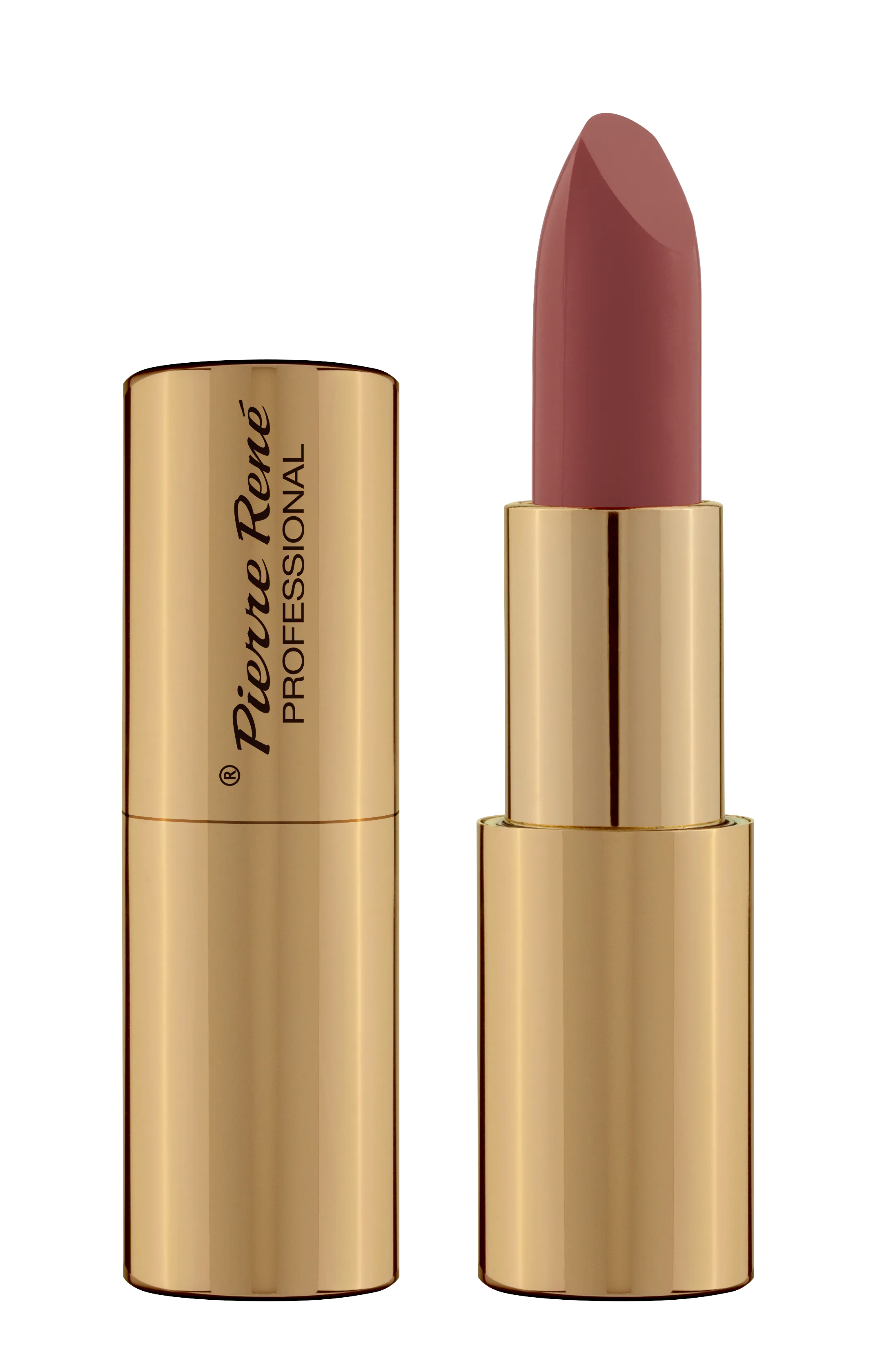 Pierre Rene Royal Mat Lipstick Pomadka do ust, 22 Potters Clay