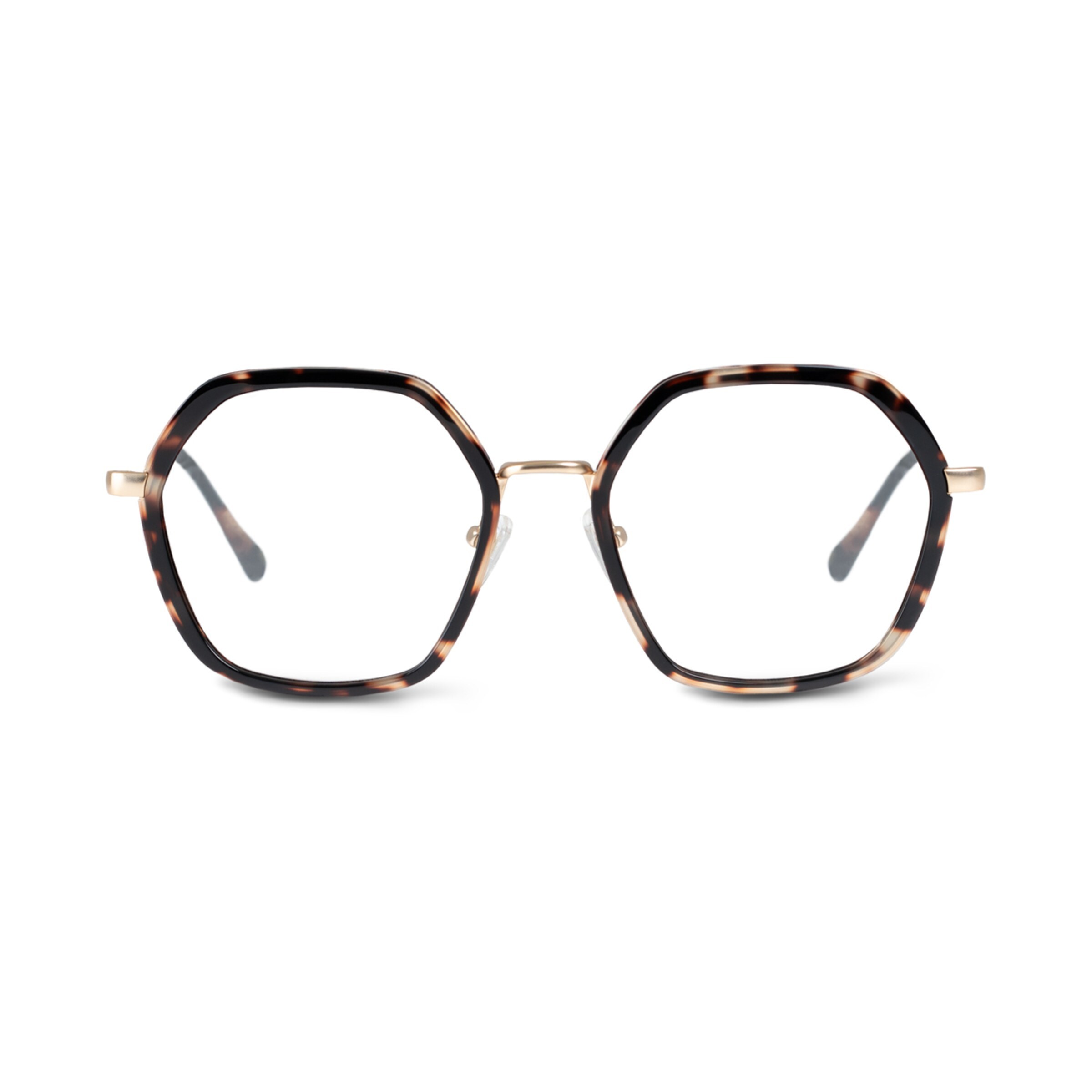 Tortue Amsterdam Edge Umber avec ordonnance