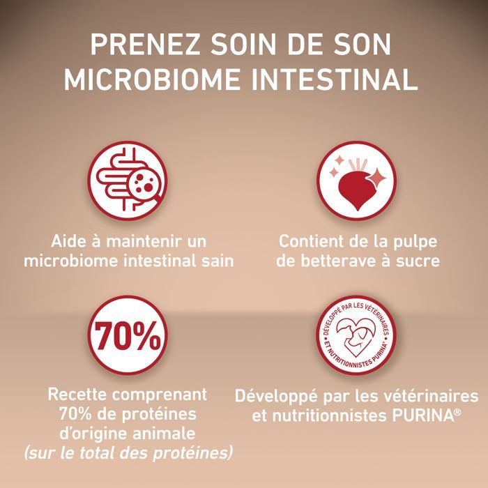 PURINA ONE Chat Stérilisé - au Saumon et au Blé - 4x3kg -Croquettes pour chat adulte